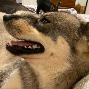 Meet your Posher, Clay